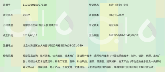 北京天諾德咨詢(xún) 計(jì)算機(jī)軟件咨詢(xún)領(lǐng)域的專(zhuān)業(yè)領(lǐng)航者